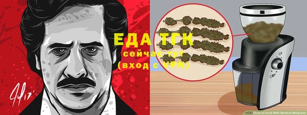 гидра Абаза