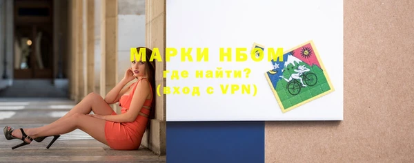 гидра Абаза