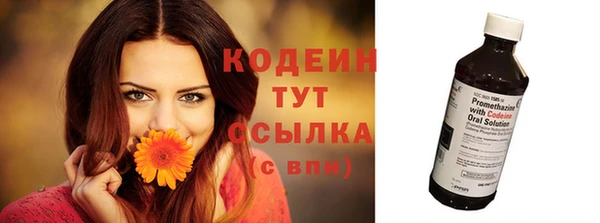 гидра Абаза