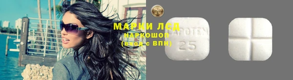гидра Абаза