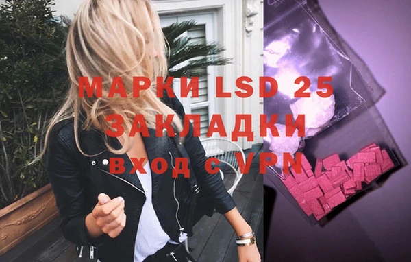 гидра Абаза