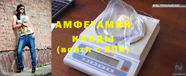 гидра Абаза