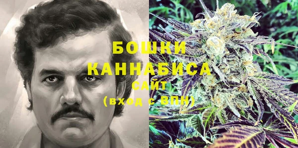 гидра Абаза