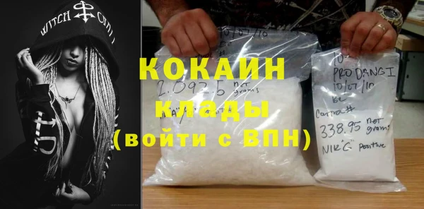 гидра Абаза